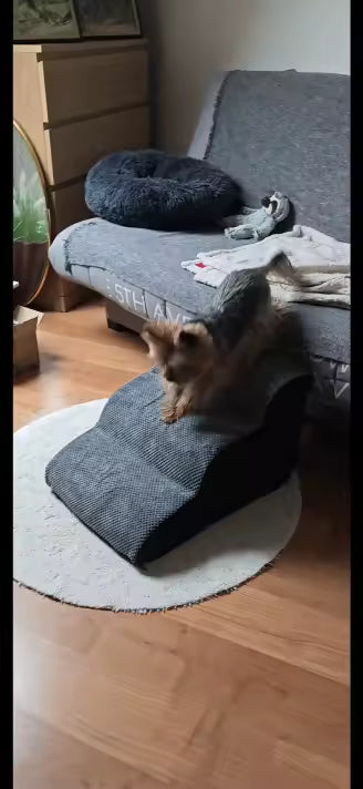 Escalera para Perros - Bark & Co.